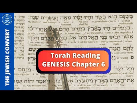 Torah Reading Genesis Chapter 6 In Hebrew With English Translation 