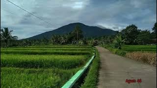 Download lagu Takbiran Merdu Suasana Kampung (Rindu Kampung Halaman)