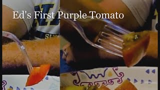 Eds First Purple Tomato