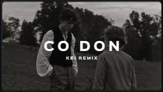 Cô Đơn - Hngle x @NIZOfficial14 x Ari (prod. DQ x NemTran) - KEI remix