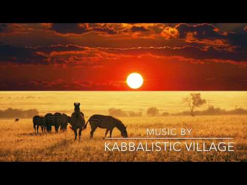 מוזיקת רקע קצבית מוסיקה אלקטרונית הודית מוסיקת עולם 