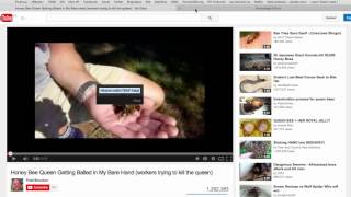 Knowledge Forum Tutorial 18 - Embedding a video into a note