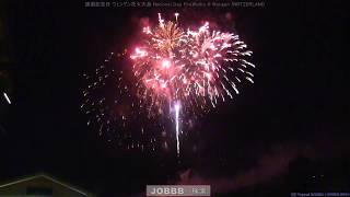 スイス花火大会 Youtube