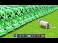 3,000,000 Creepers vs 1 Cat in Minecraft