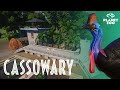 JURASSIC PARK themed Cassowary Exhibit!  | Planet Zoo (Time lapse Build)