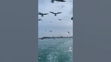 اغنية جوك شكر تركيه ع مناظر من تركيا روعه 
