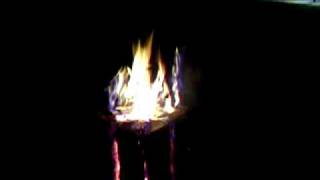 PIC_0486.AVI