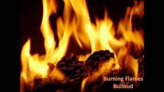 Onyan & Burning Flames - Bullbud "2010 Antigua Soca" chords
