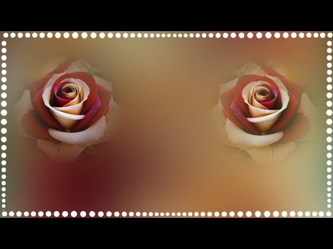 Красивые девушки и весна проект