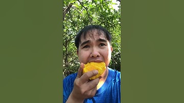 Ăn Xoài Chín Cây cùng Cải nhé #caihaydoi #food #mukbang