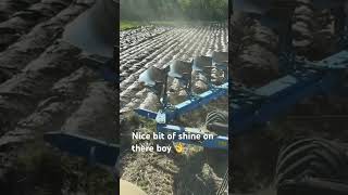 Slatts Or Full Board , Lemken Diamant 11