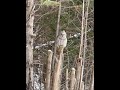 IMG 6771