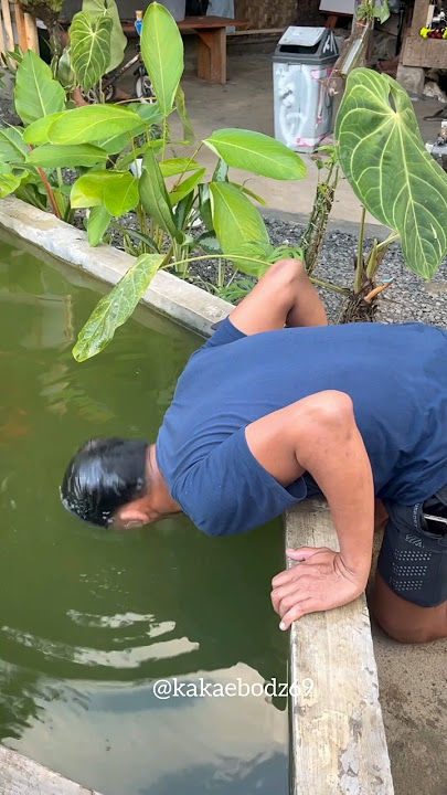 CARA NANGKAP IKAN DI KOLAM KOTOR PAKE MULUT