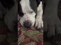 Malcolm video
