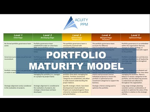 How to Use a Portfolio Management (PPM) Maturity Model