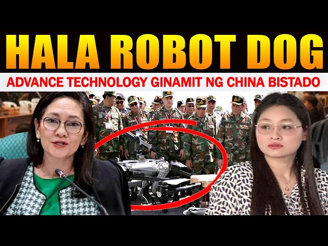 Tinatagong Robot Dog ni Mayor Alice Guo Risa Hontiveros Nagulat sa Natuklasan China Alerto na Gyera class=