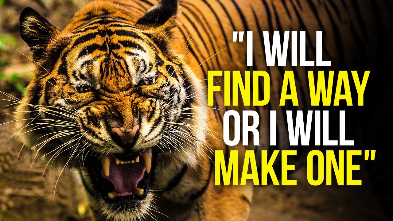 MINDSET OF A WINNER – New Motivational Video Compilation (Featuring Marcus A. Taylor)