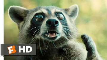 Furry Vengeance (11/11) Movie CLIP - Raccoon Fight (2010) HD