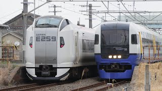 20260320 総武本線9302M/4005M 255系Be-03編成/E259系Ne015編成 特急しおさい50号/5号【しおさい50周年】