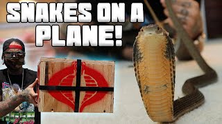 Picking King Cobra up from the Airport! | Tyler Nolan