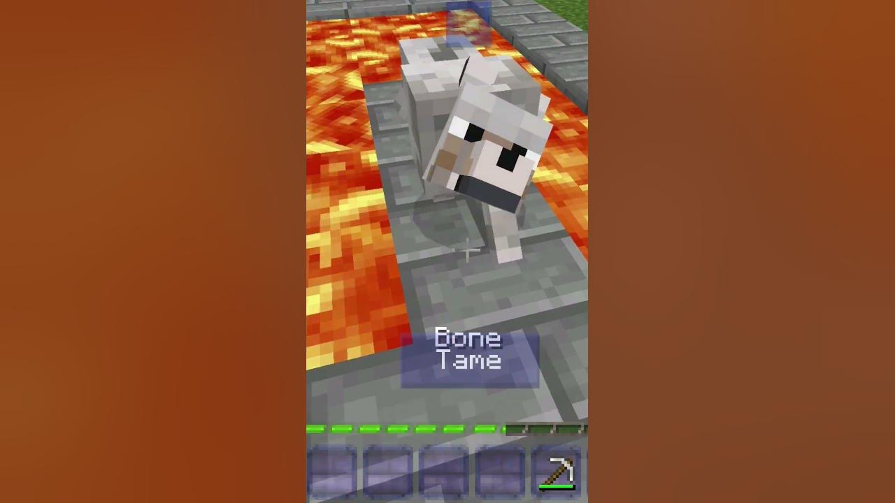 please-adopt-a-dog-in-minecraft-and-help-youtube