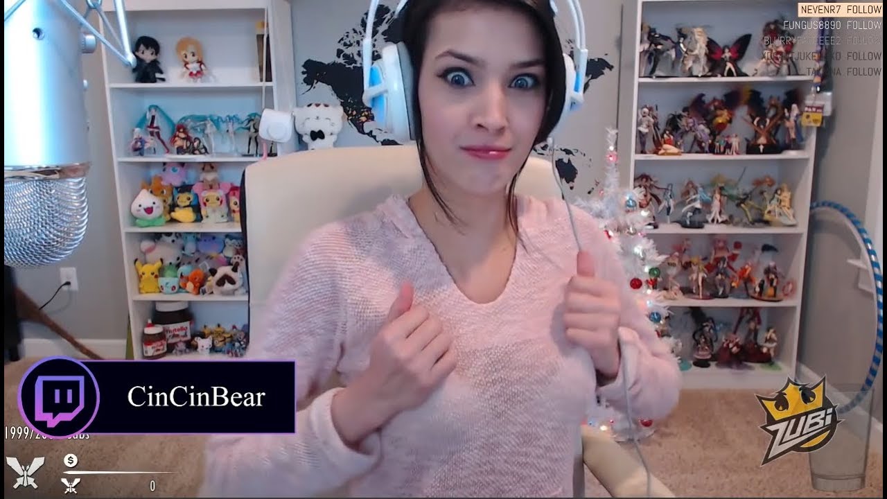 Cincinbear Hot