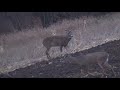 My Brother Passing a Nice 10 at Five Yards- 2014 Minnesota Archery