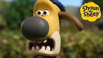 Best Dog 🐑 Shaun the Sheep 🐑  - Cartoons for Kids 🐑 Season 2 All Episodes in Full [4 hour]