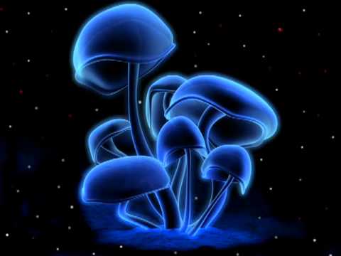 Infected Mushroom Muse Breaks