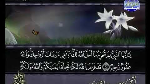 سورة التحريم _ الشيخ سعد الغامدي _ ٦٦