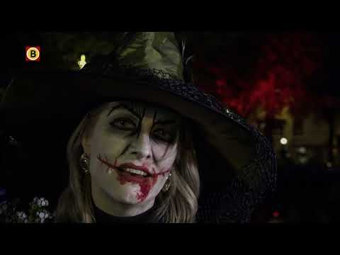 Halloween Oirschot 2019 | Omroep Brabant Zinderend Zuiden