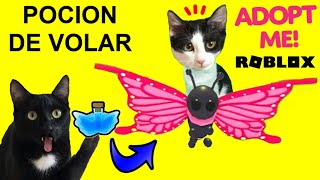 Poción de volar y vuela con tu mascota en Roblox ADOPT ME Videos de gatos Luna y Estrella en español