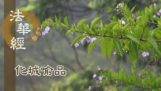 【靜思妙蓮華】法華經化城喻品 - 法鼓警醒 生死長夜 - 20211117 第1026集