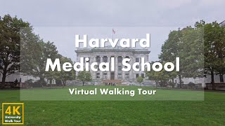 โรงเรียนแพทย์ฮาร์วาร์ด (Harvard Medical School) - ทัวร์เดินเสมือนจริง [4k 60fps]