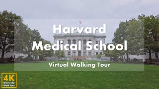 Harvard Medical School - Virtual Walking Tour [4k 60fps]