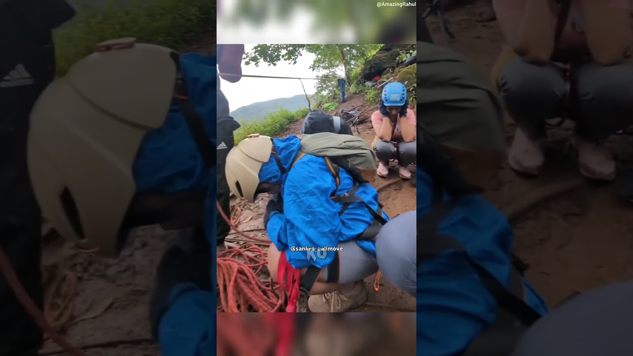 Bees attack on them | 