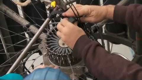 In Search of Tricho, Part 1