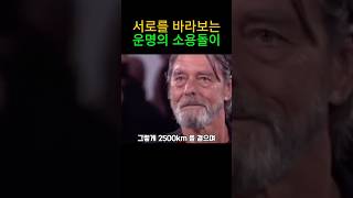 한때 사랑한 사람과 눈맞춤