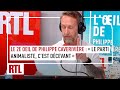 Le 2e oeil de philippe caverivire  le parti animaliste cest dcevant