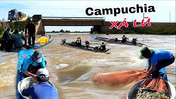 Lũ lên lịch sử dân Việt Kiều Campuchia đánh bắt mưu sinh mùa nước nổi