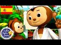 Canciones Infantiles | Cinco Monitos | Dibujos Animados | Little Baby Bum en Español