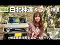 【白北線 前編】広域基幹林道 白北線＆ダート枝道へ突撃！大好きな岐阜ジムニードライブ【岐阜県白川町】
