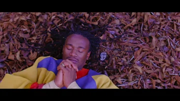 Jah Prayzah - Hokoyo (Official Music Video)