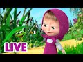 🔴 LIVE! Maşa İle Koca Ayı 🌤️ Gökyüzünün mavi olduğu yer 🌅 Masha and the Bear