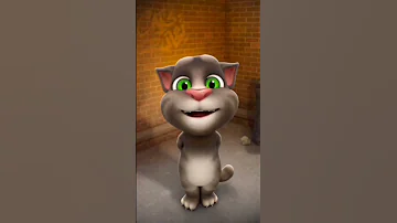 Talking Tom Cat Singing 