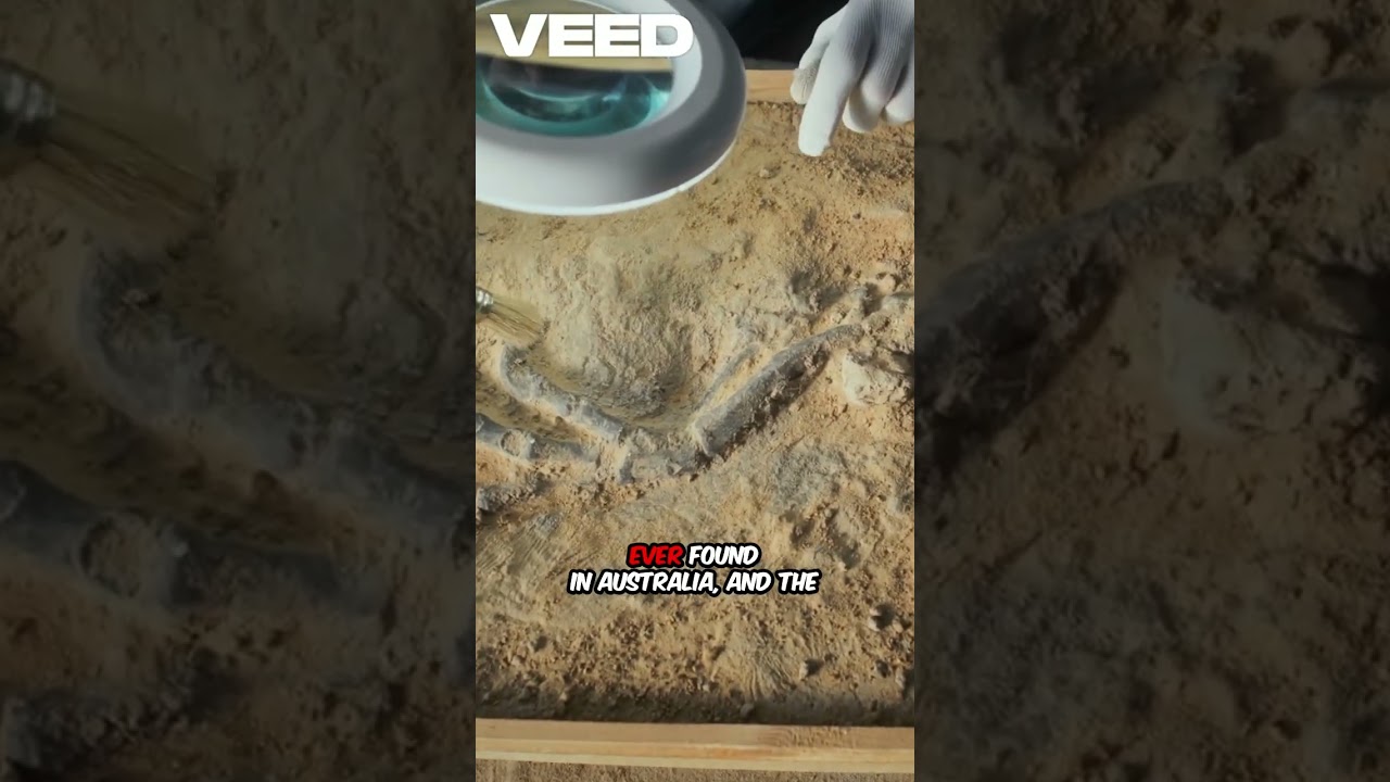 Jurassic Spider Discovery Shock