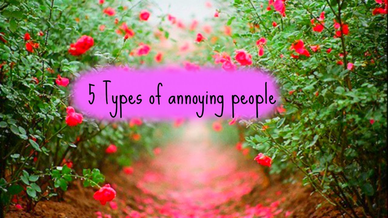 5 Types of annoying people