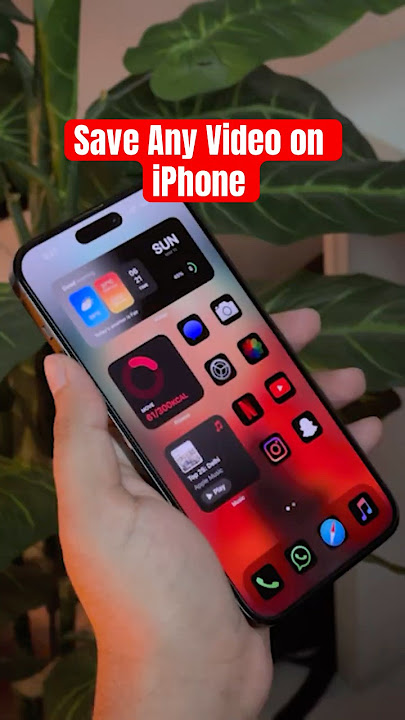 Save any video on iPhone/iPad from anywhere