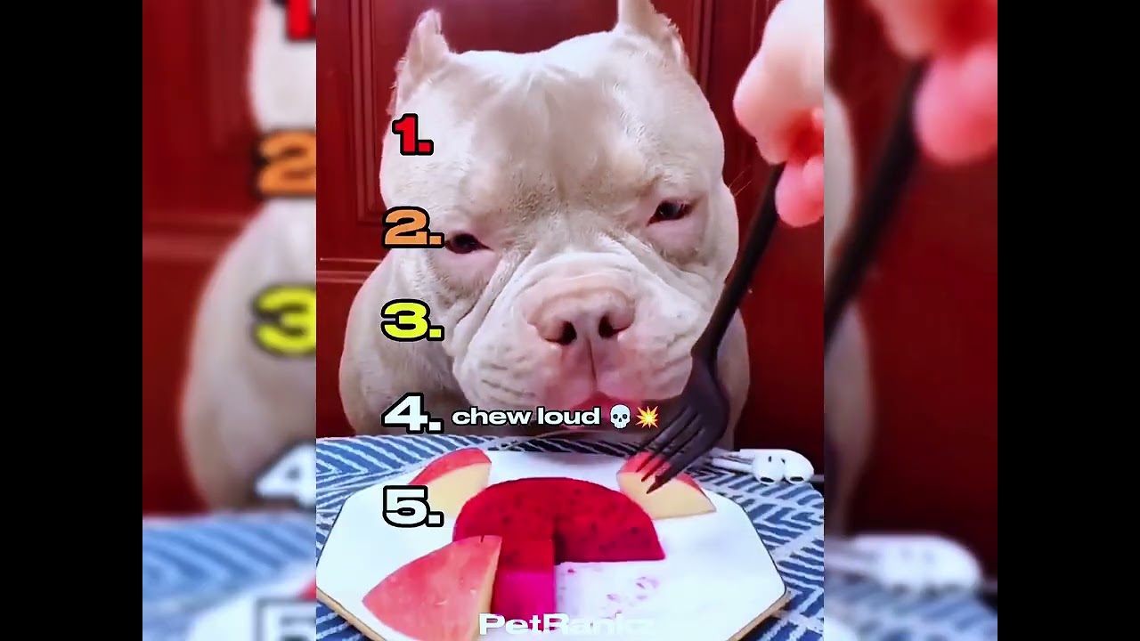 🤣👌👌👌2026 pov Must-Watch Crazy Clips Compilation #humor #fypシ #pov #fyp #foryou 😍😜