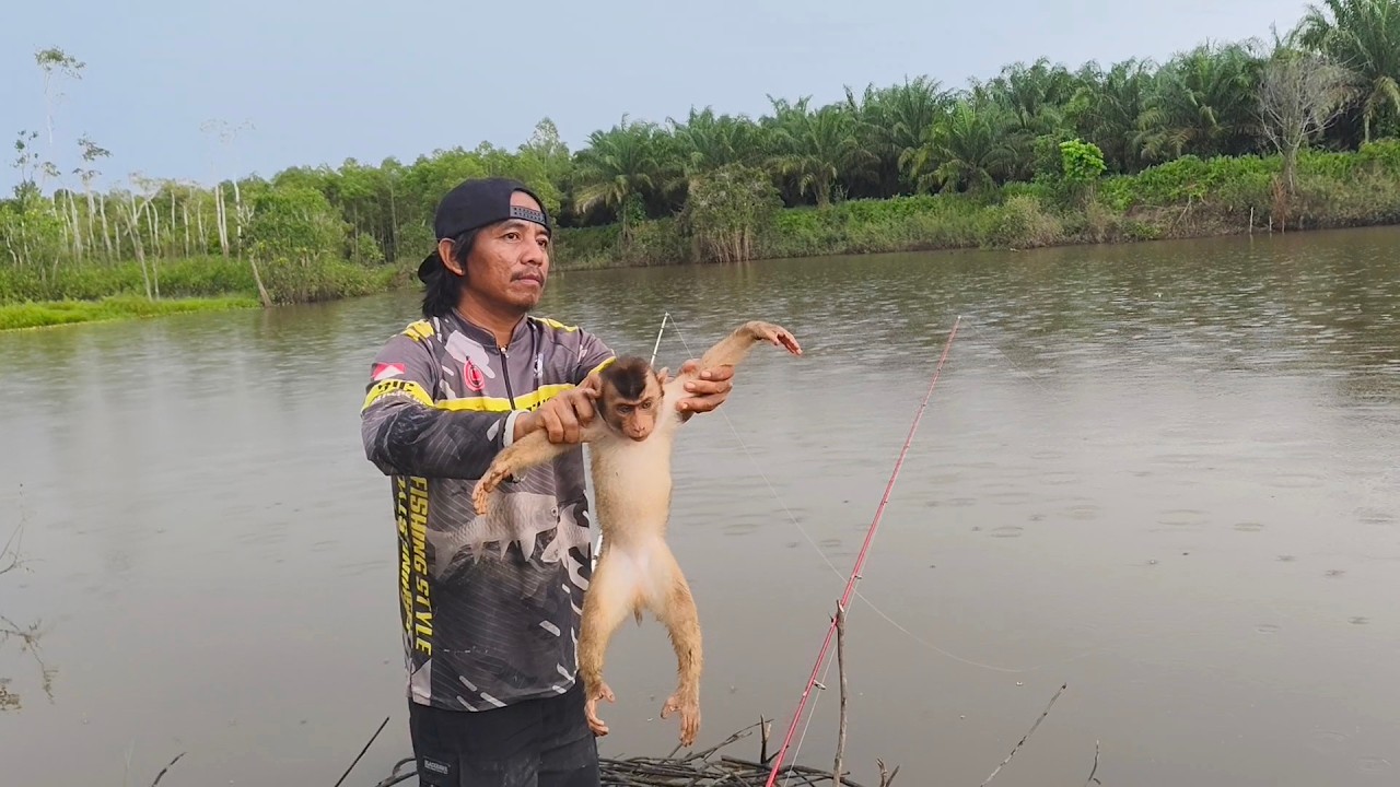 Gara-gara pakai umpan ini..!!! Pancing ku dua-dunya langsung di makan ikan besar